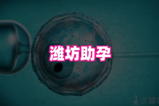 试管助孕网站 4